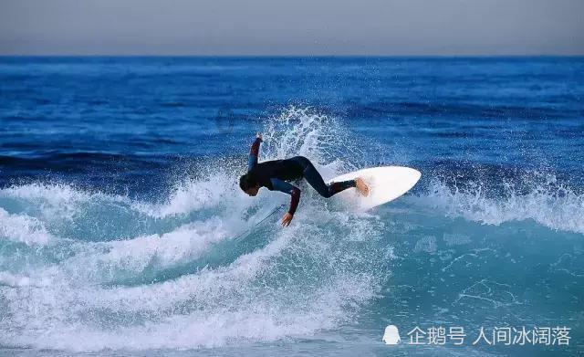 漂亮鹦鹉救援